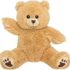 15" Talking Teddy Bear