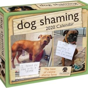 2020 Dog Shaming Calendar