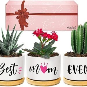 Best Mom Ever Succulent Pots - Mother's Day Gift