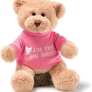 Big Sister Teddy Bear with Pink T-Shirt