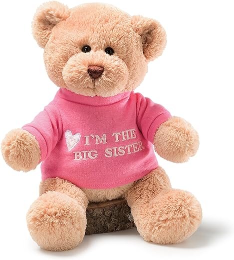 Big Sister Teddy Bear with Pink T-Shirt