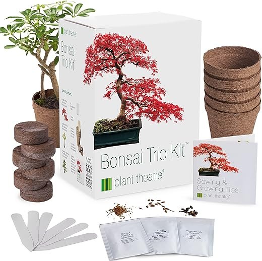 Bonsai Tree Kit with 3 Mini Seeds