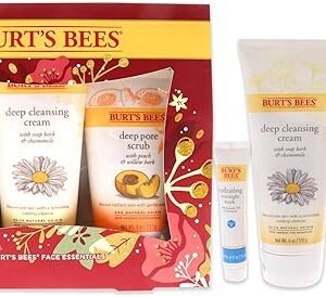 Burt's Bees Holiday Face Care Set