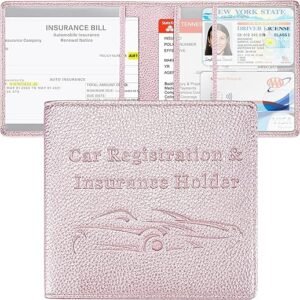 Car Registration and Insurance Holder