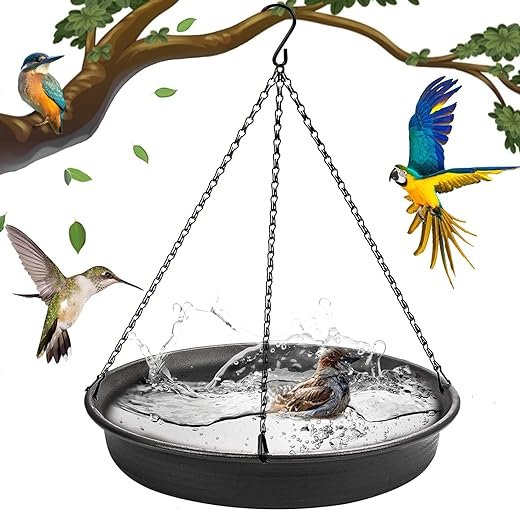 CARGEN Hanging Bird Bath and Feeder