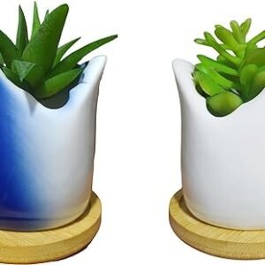 Ceramic Shark Succulent Flower Pot (White/Blue)