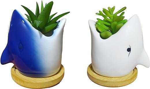 Ceramic Shark Succulent Flower Pot (White/Blue)