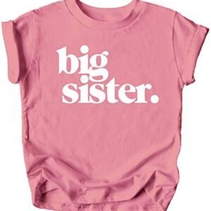 Colorful Big Sister Reveal T-Shirt