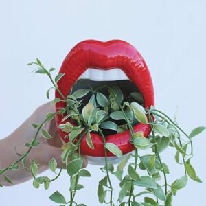 Creative Succulent Planter with Sexy Red Lips