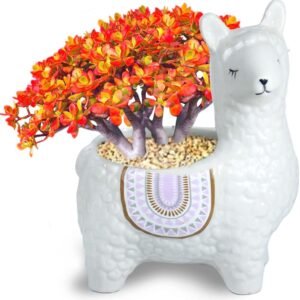 Cute Llama Succulent Plant Pot, White