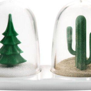 Cute Winter/Summer Salt and Pepper Shakers