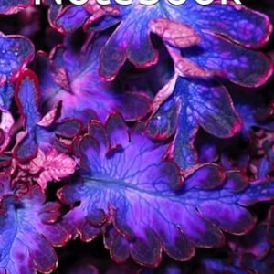 Deathnote Inspired Notebook - 110 Pages