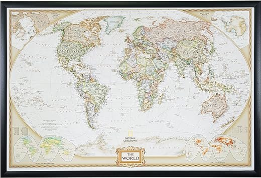 Executive World Travel Map with Pins