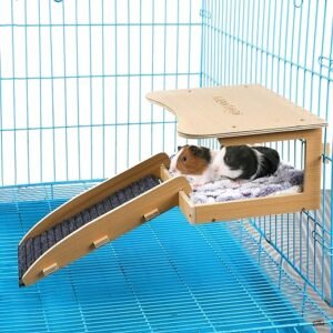 Guinea Pig Hideout with Stairs and Mat