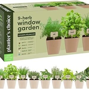 Indoor Herb Garden Kit - Unique Gift for Women
