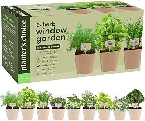Indoor Herb Garden Kit - Unique Gift for Women