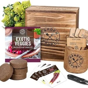 Indoor Vegetable Garden Starter Kit