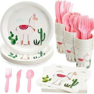 Llama Birthday Party Supplies - Mexican Fiesta Celebration