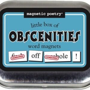 Obscenity Poetry Kit: Words for Fridge