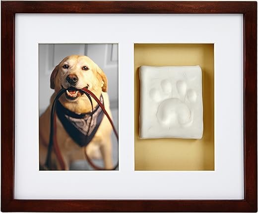 Pearhead Pet Paw Prints Wall Frame