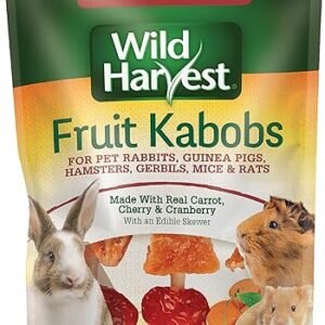 Pet Rodent Fruit Kabobs, 6 Count