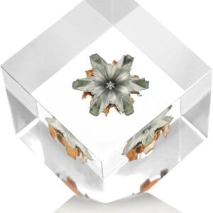 Real Expanded Hollow Point Bullet Accessory