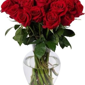 Red Rose Bouquet, Next Day Prime Delivery