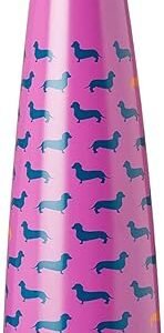 S'ip by S'well Steel Water Bottle