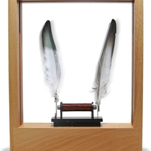 Slow Motion Picture Frame with LED Night Light