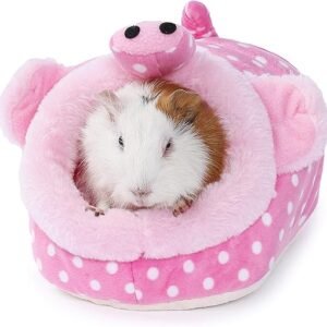 Small Animal Cage Supplies and Accessories