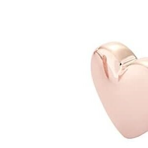 Ted Baker Tiny Heart Earrings