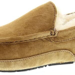 UGG Ascot Men's Slipper