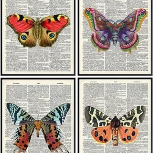 Vintage Butterfly Dictionary Art Prints